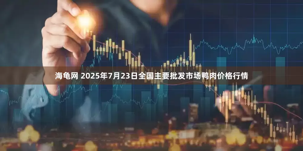 海龟网 2025年7月23日全国主要批发市场鸭肉价格行情