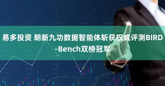 易多投资 朗新九功数据智能体斩获权威评测BIRD-Bench双榜冠军