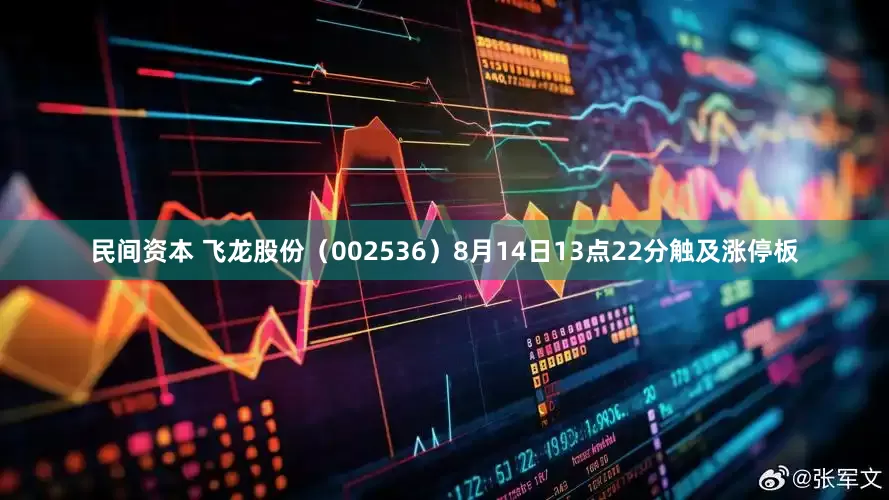 民间资本 飞龙股份（002536）8月14日13点22分触及涨停板
